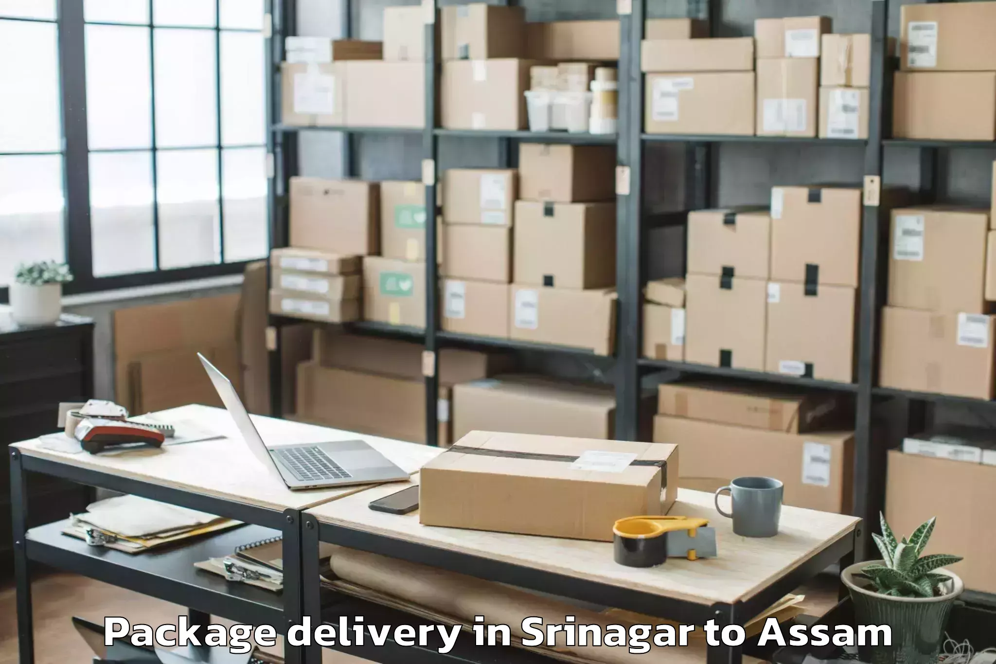 Professional Srinagar to Laharighat Package Delivery